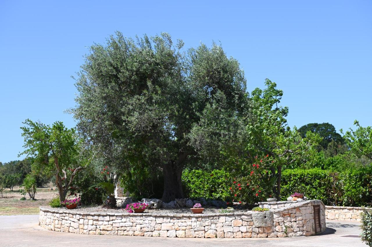 צ'יסטרנינו Masseria Peppeturro מראה חיצוני תמונה
